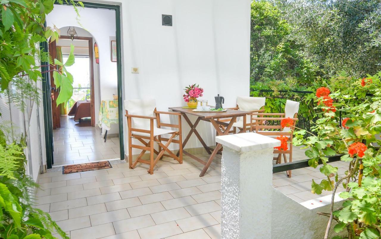 Appartement Alex-giannis
